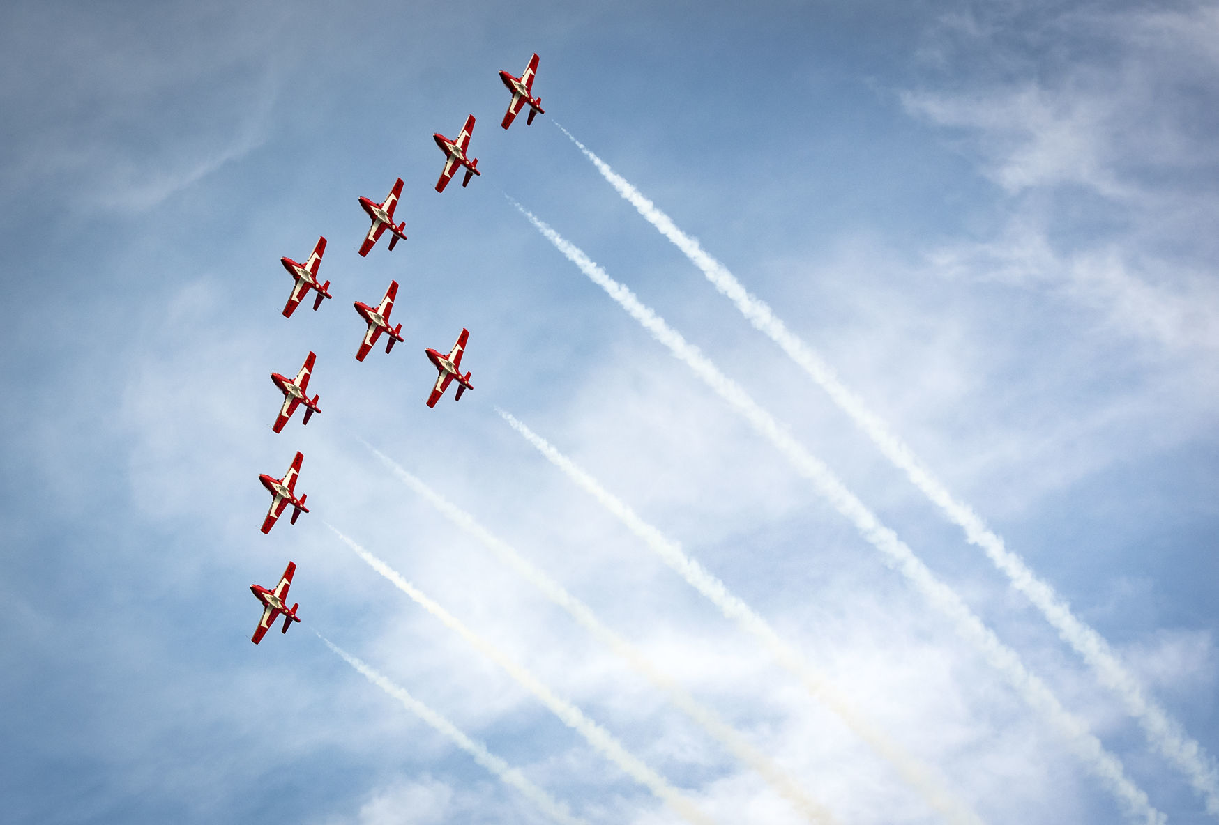 Snowbirds
